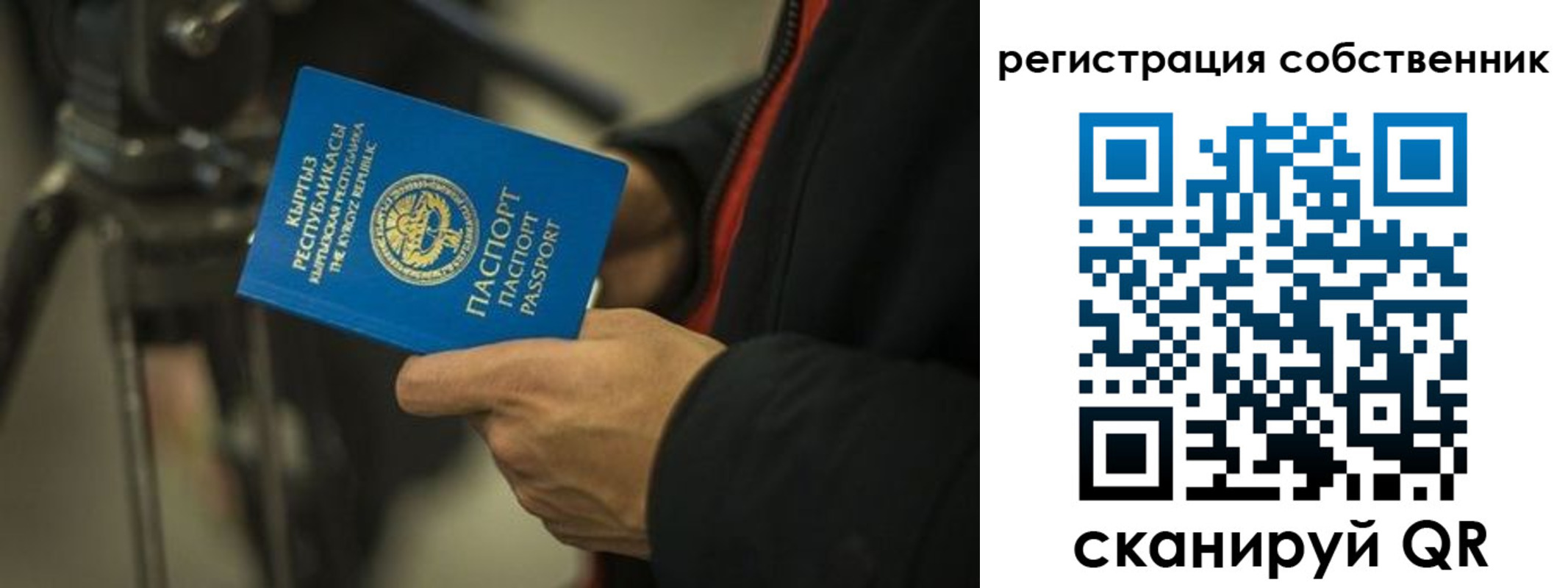 временная регистрация поиск в Котово
